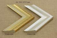 y5401-g00, y5401-v00