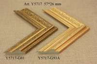 y5717-g01, y5717-g93a